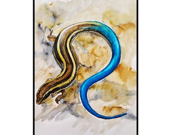 Western Skink 1 Fine Art Poster