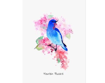 Mountain Bluebird Fine Art Poster