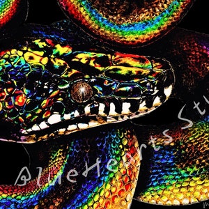 May include: A close-up image of a snake's head and body, featuring vibrant rainbow-colored scales. The snake's eye is a dark brown color. The image has the text "Blue Hearts Studio" and the artist's signature.