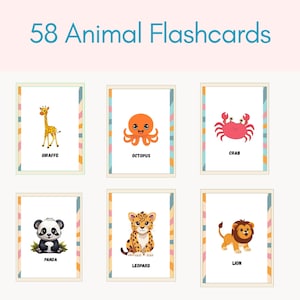 Animal Kids Flashcards, Printable Flashcards, Preschool Flashcards, Flashcard PDF, PNG, Toddler Learning Flashcards, Animal Cards Set