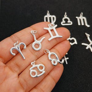 925 sterling silver zodiac sign medallion pendant small astrology charm horoscope pendant, zodiac necklace pendant minimalist supply