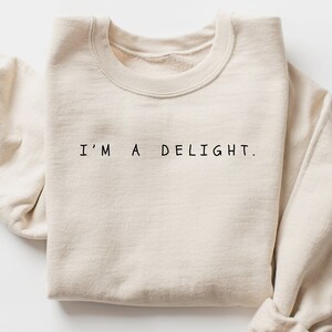 Funny Sweatshirt, I&#39;m a Delight, Sarcastic Sweatshirt, Funny Shirt, Funny Unisex Shirt, Quote Sweatshirt, dry humor, attitude shirt