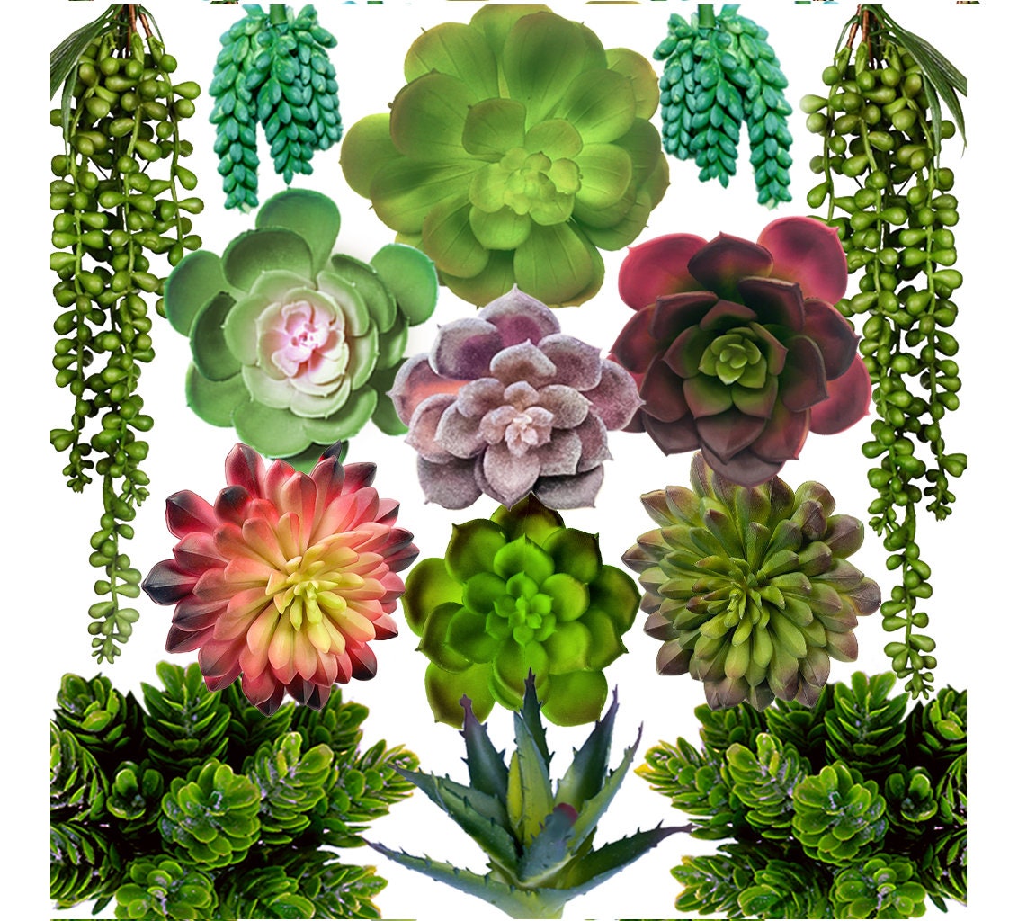 14 Unpotted Premium Fake Rare Succulents Plants Artificial Etsy
