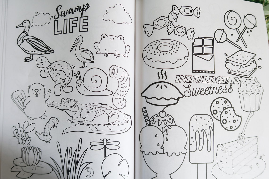 Crazy Shenanigans Coloring Book - Etsy