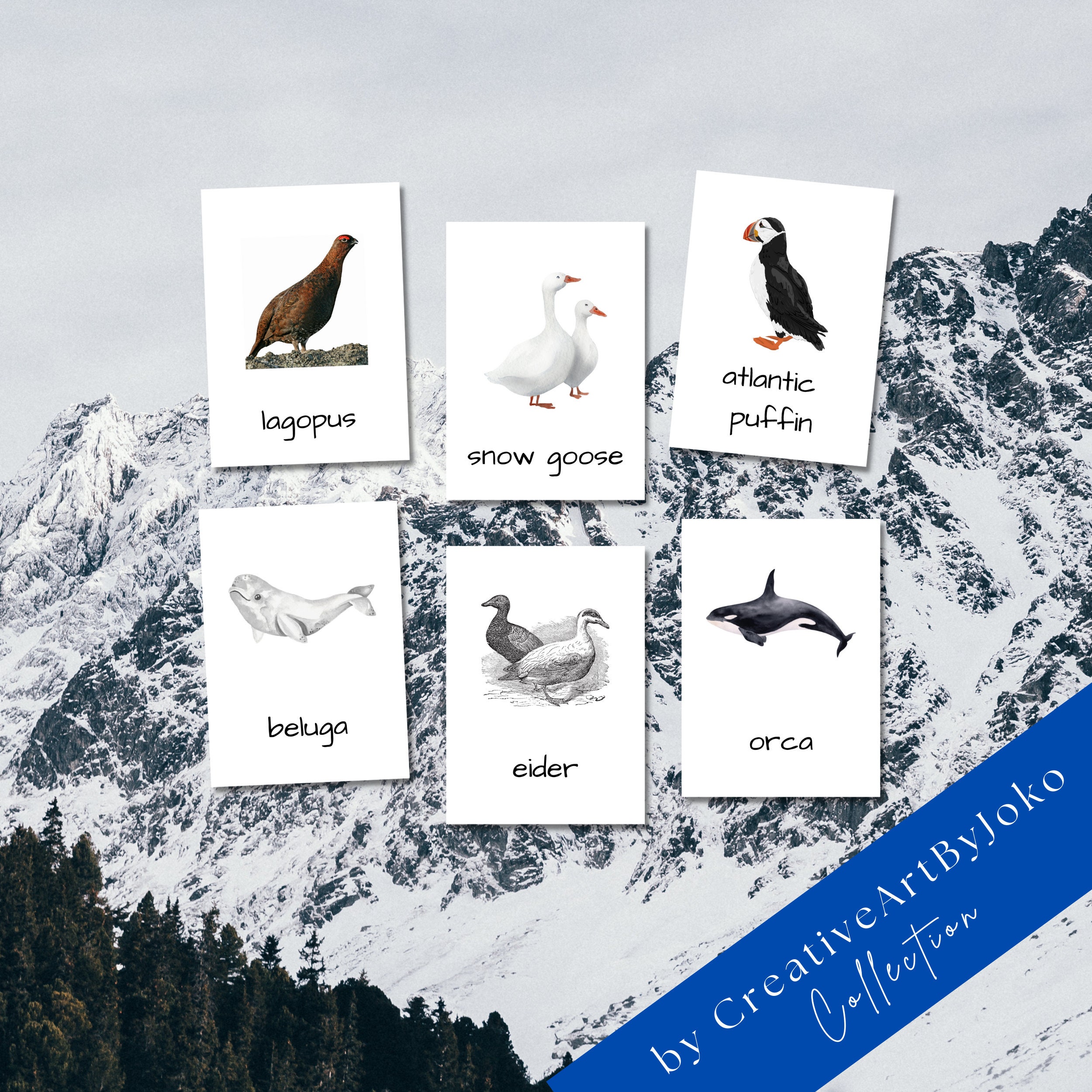 Arctic Animals 20 Printable Animal Flash Cards Kids Arctic Etsy