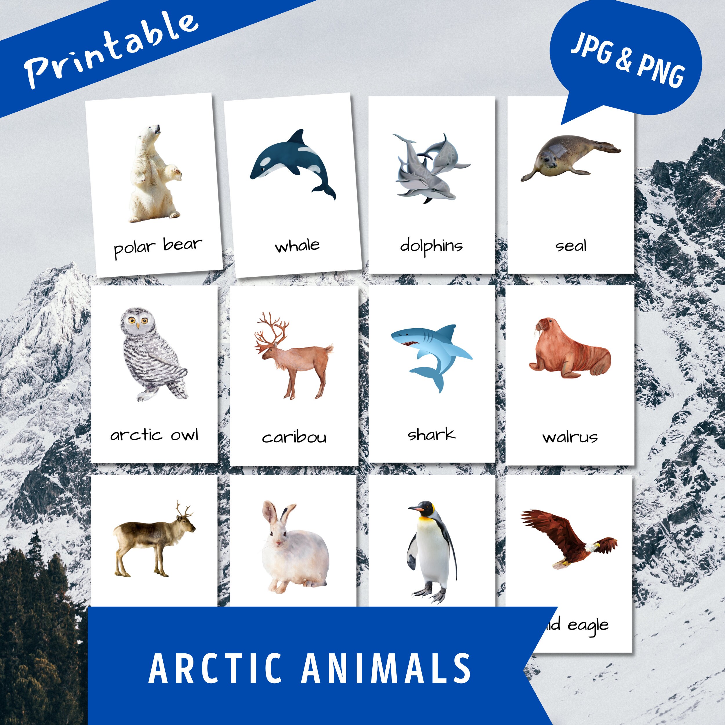 Engage Children With Our Printable Arctic Animal Flashcards - Etsy