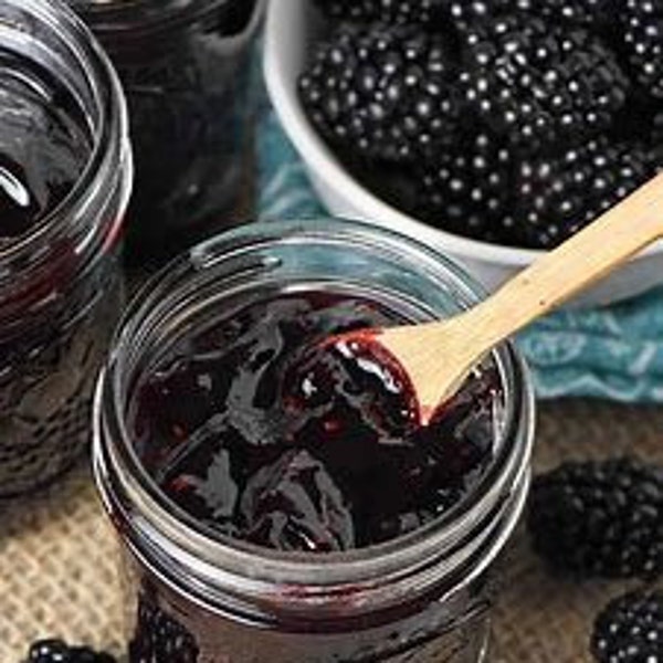 Home Made Blackberry Jam 8 oz Jar