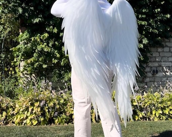 ali per spettacoli, ali d'angelo, costume con ali d'angelo, ali d'angelo per servizi fotografici