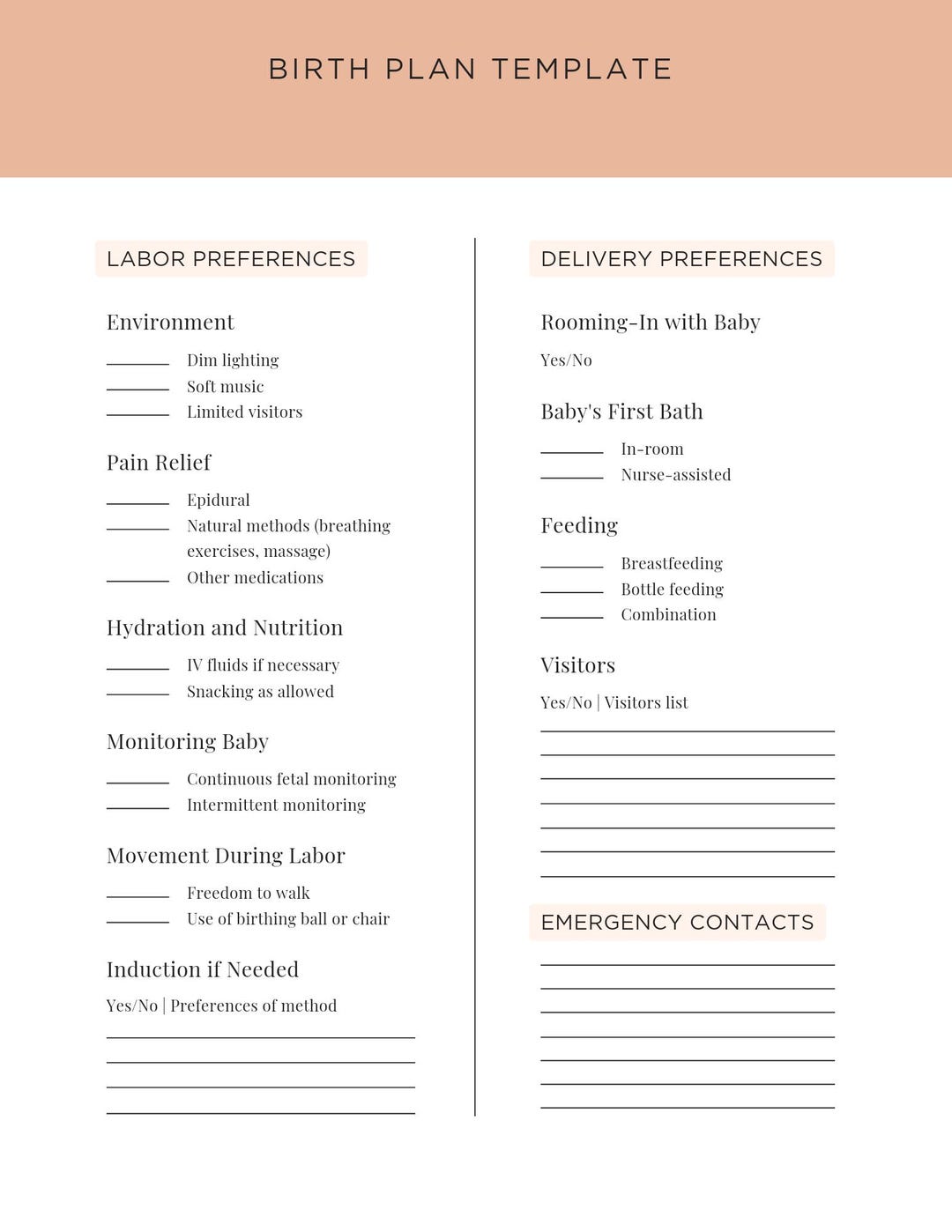 Baby Birth Plan Template: Printable Journal (digital Download) - Etsy