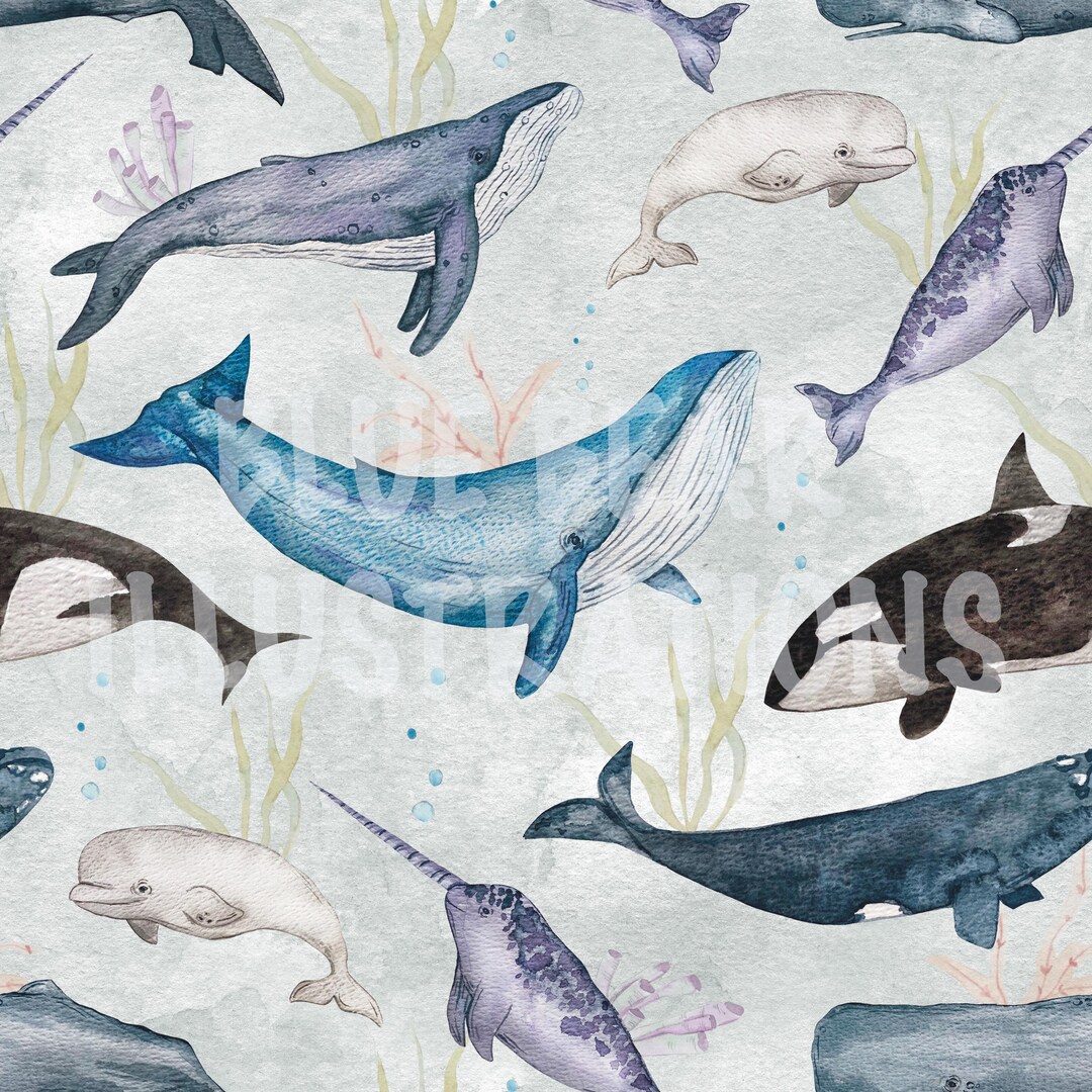 Whale Seamless Pattern, Summer Seamless File, Blue Whales Digital Paper ...