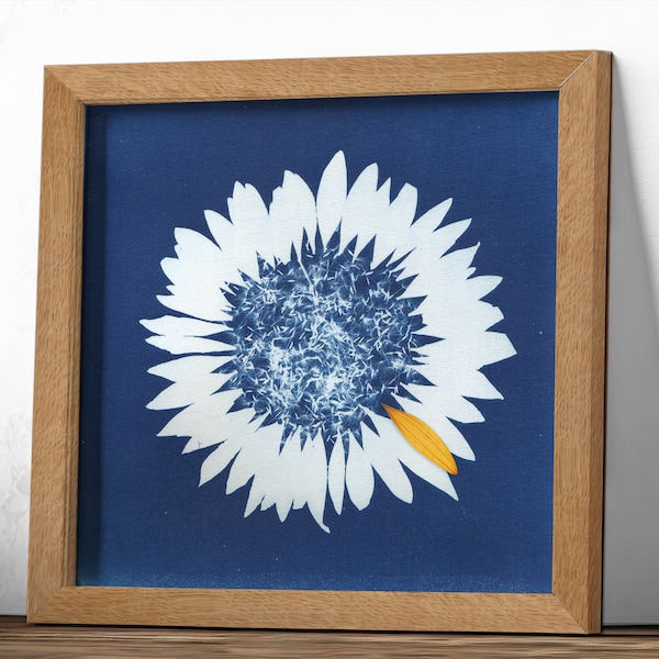 Tableau cyanotype "le tournesol"