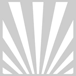 Puede incluir: Un fondo gris con rayas blancas que irradian hacia afuera desde el centro, creando un efecto de sol.