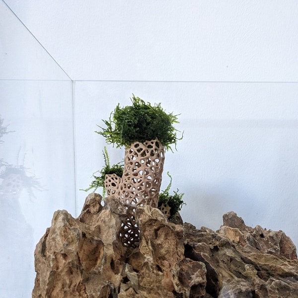 Aquarium Bonsaï Tree Structure for Moss, 2 sizes
