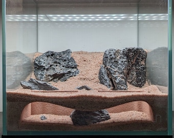 Aquarium Natural Underground Tunnel (2 Entrances)