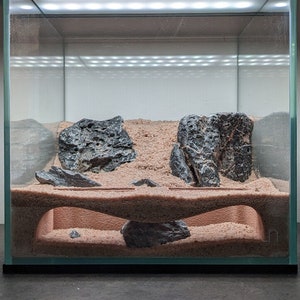 Aquarium Natural Underground Tunnel (2 Entrances)