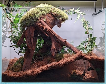 Terrarium Natural Underground Cave (L)