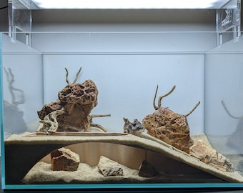 Aquarium Arched Underground Cave (XXL)