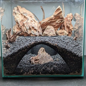 Aquarium Arched Underground Cave