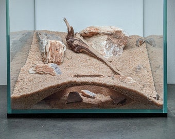 Aquarium Arched Underground Cave (XS)