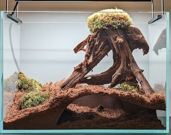 Aquarium/Terrarium Natural Corner Underground Home (L)