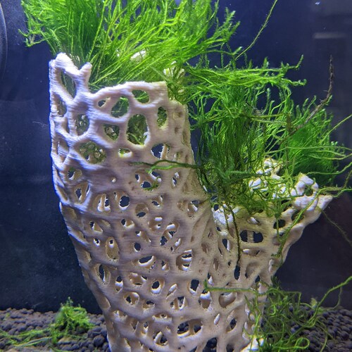 Aquarium Bonsaï Tree Structure for Moss Etsy