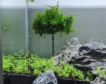 Floating Aquascape Island, 2 sizes