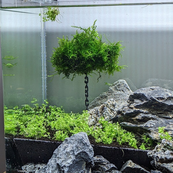 Floating Aquascape Island, 2 sizes