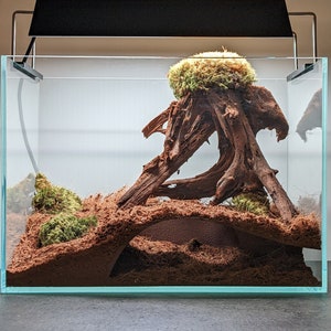 Pode incluir: Um terrário de vidro com um ramo de madeira flutuante coberto de musgo castanho e verde, um substrato castanho e uma luminária preta.