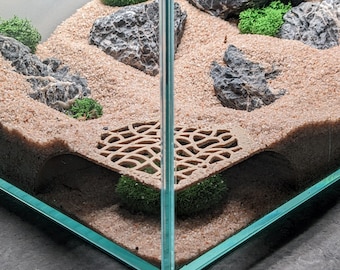 Aquarium Corner Underground Shrimp and Isopod Cave