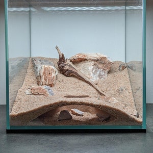 Aquarium Arched Underground Cave (XS)