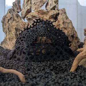Könnte beinhalten: Ein schwarzes, 3D-gedrucktes, geometrisches, kuppelförmiges Objekt mit einem Gitterdesign. Das Objekt liegt auf einem Bett aus schwarzem Kies. Im Hintergrund befinden sich Steine und Treibholz.