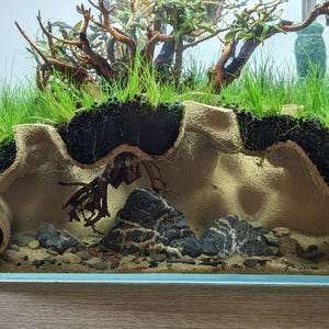 May include: An aquarium with a naturalistic design. The tank features a layered landscape with sand, rocks, and a tan-colored, textured structure. Green plants and driftwood are also present, creating a miniature underwater ecosystem.