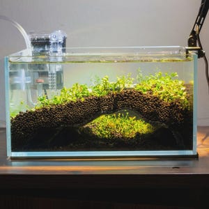 May include: A rectangular glass aquarium filled with water, dark brown substrate, and green aquatic plants. The substrate is sculpted into a bridge-like arch with a hollow space underneath. A clear plastic filter is attached to the back left corner.