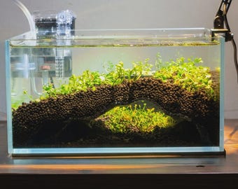 The Hidden Hollow Aquarium Cave