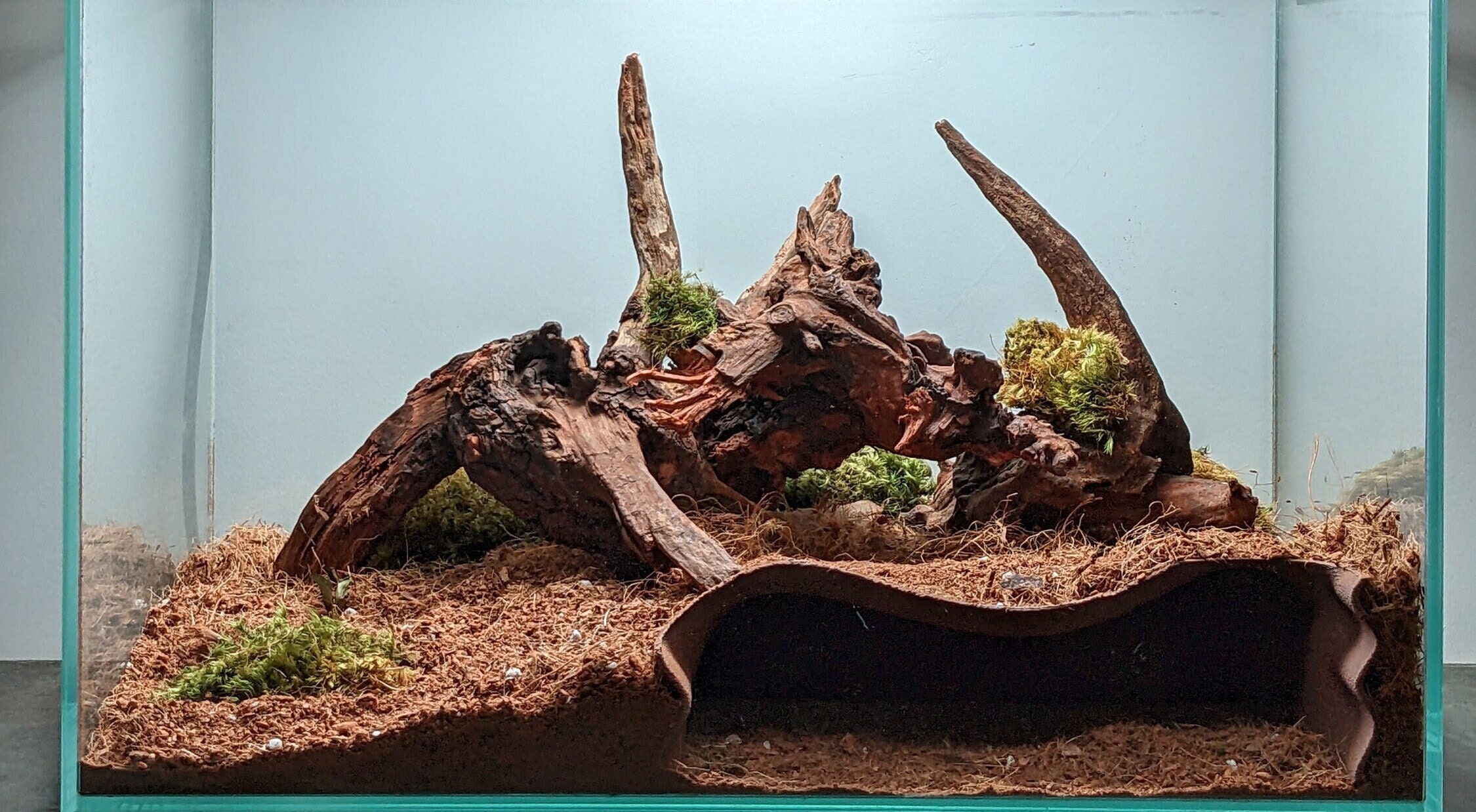テラリウム/アクアリウム 地下自然洞窟（L） - Etsy 日本