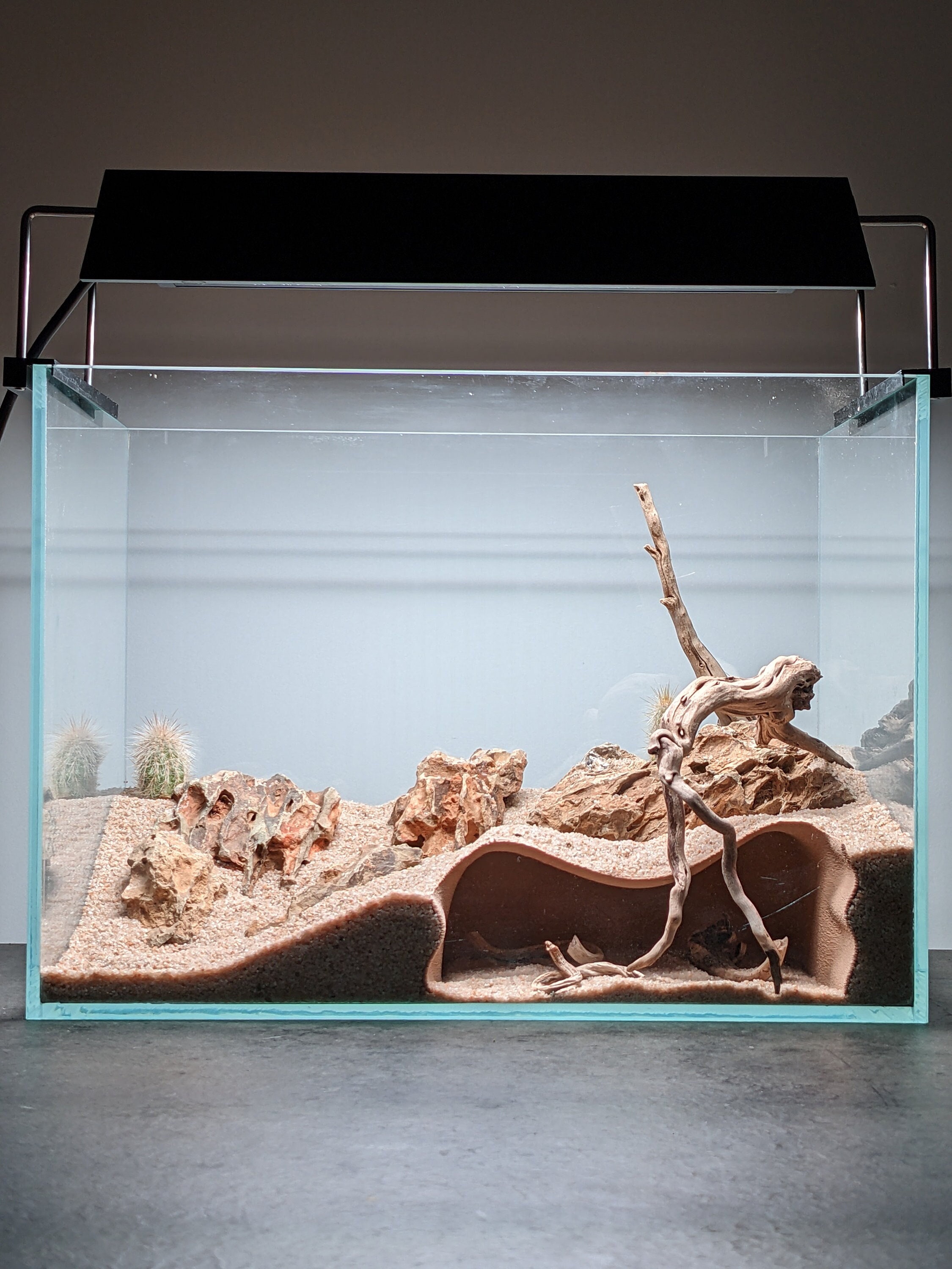 Etrarium/エトラリウム　HAKUGEI Terrarium/aquarium Underground Natural Cave (M) - Etsy