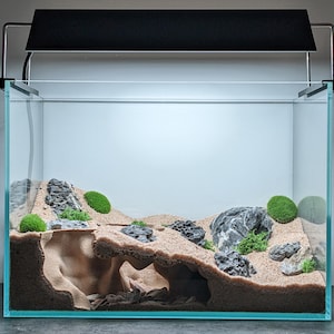 May include: A clear glass aquarium with a black light fixture. The tank is filled with sand, rocks, and green moss, creating a miniature landscape. The design includes a cave-like structure in the center.