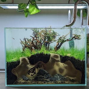May include: A rectangular glass aquarium with a miniature landscape. The tank features a substrate with rocks, sand, and a sculpted beige structure. Green plants and driftwood create a naturalistic environment. A metal fixture and overhead lighting are visible.