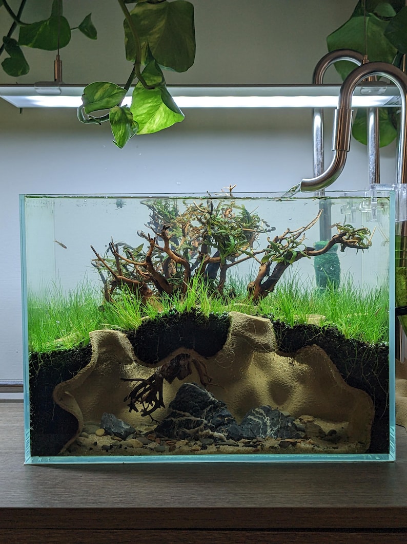 May include: A rectangular glass aquarium with a miniature landscape. The tank features a substrate with rocks, sand, and a sculpted beige structure. Green plants and driftwood create a naturalistic environment. A metal fixture and overhead lighting are visible.