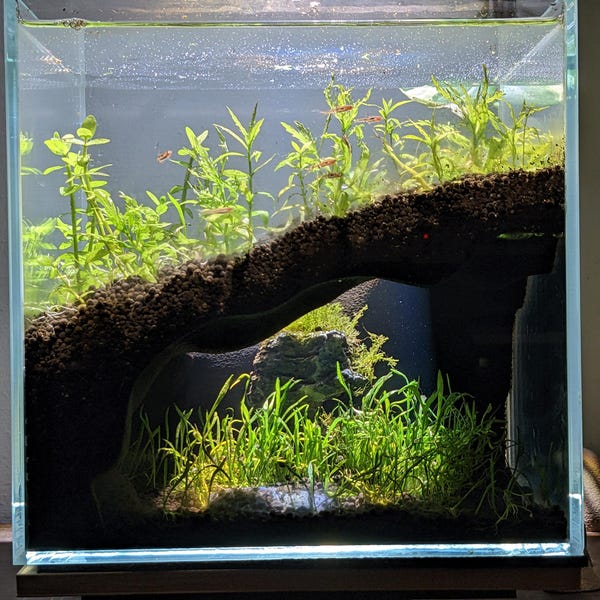 NEW! The Corner Hollow Large Aquarium Cave