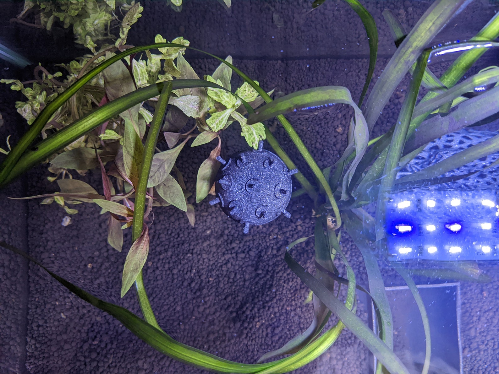 Aquarium Naval Floating Mine Etsy UK