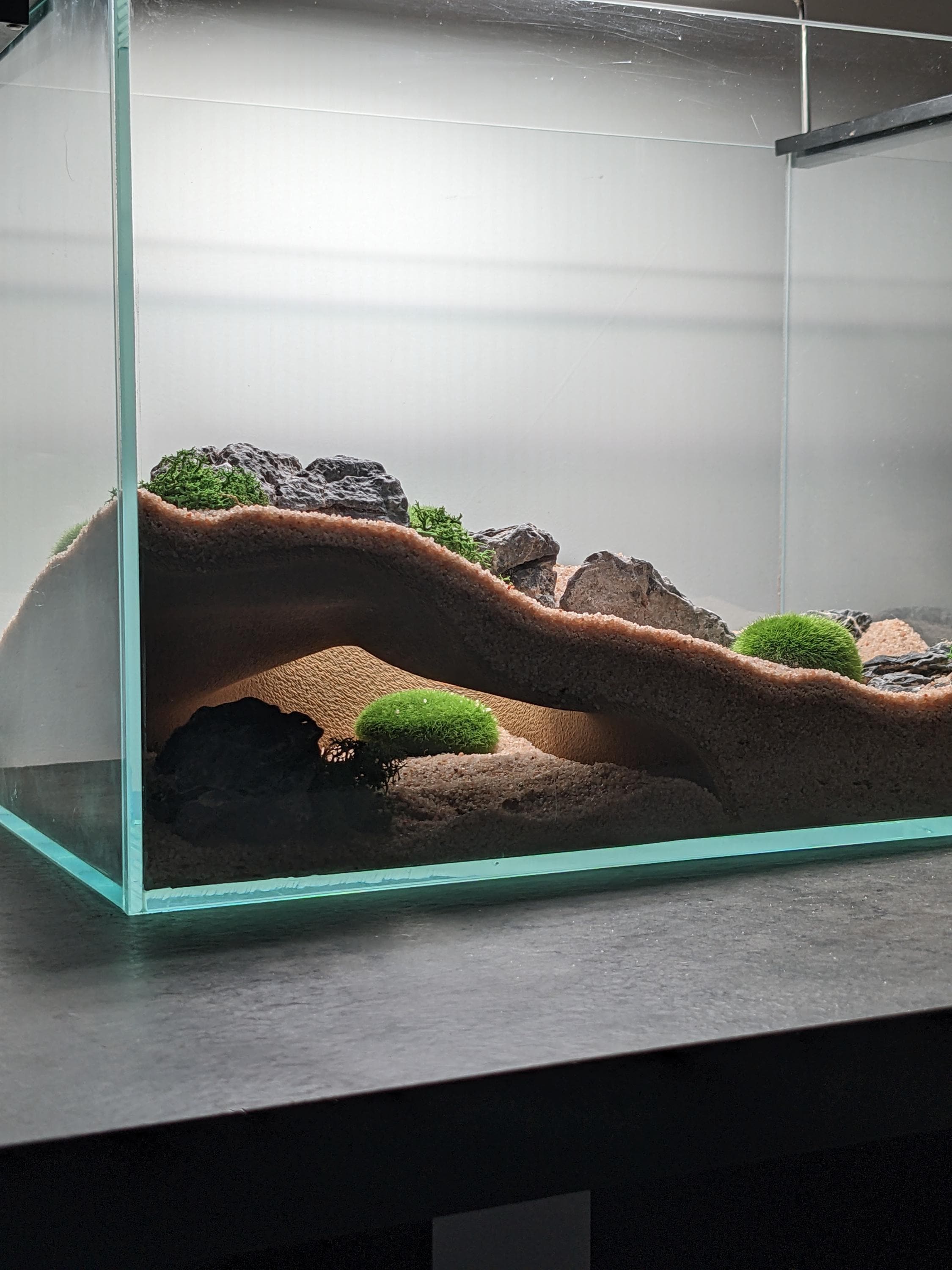 水族館・テラリウムコーナー地下自然洞窟 - Etsy 日本