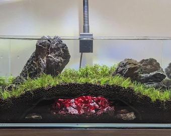 The Hollow Arch Aquarium Cave