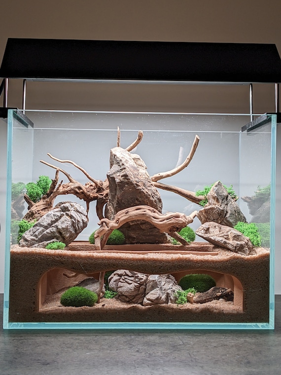 Aquarium Caves for Territorial Fish: Ultimate Hiding Spots Revealed