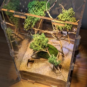 May include: A clear plastic terrarium with a sand base and green moss plants. The terrarium has a few branches and a small mound of moss in the center.