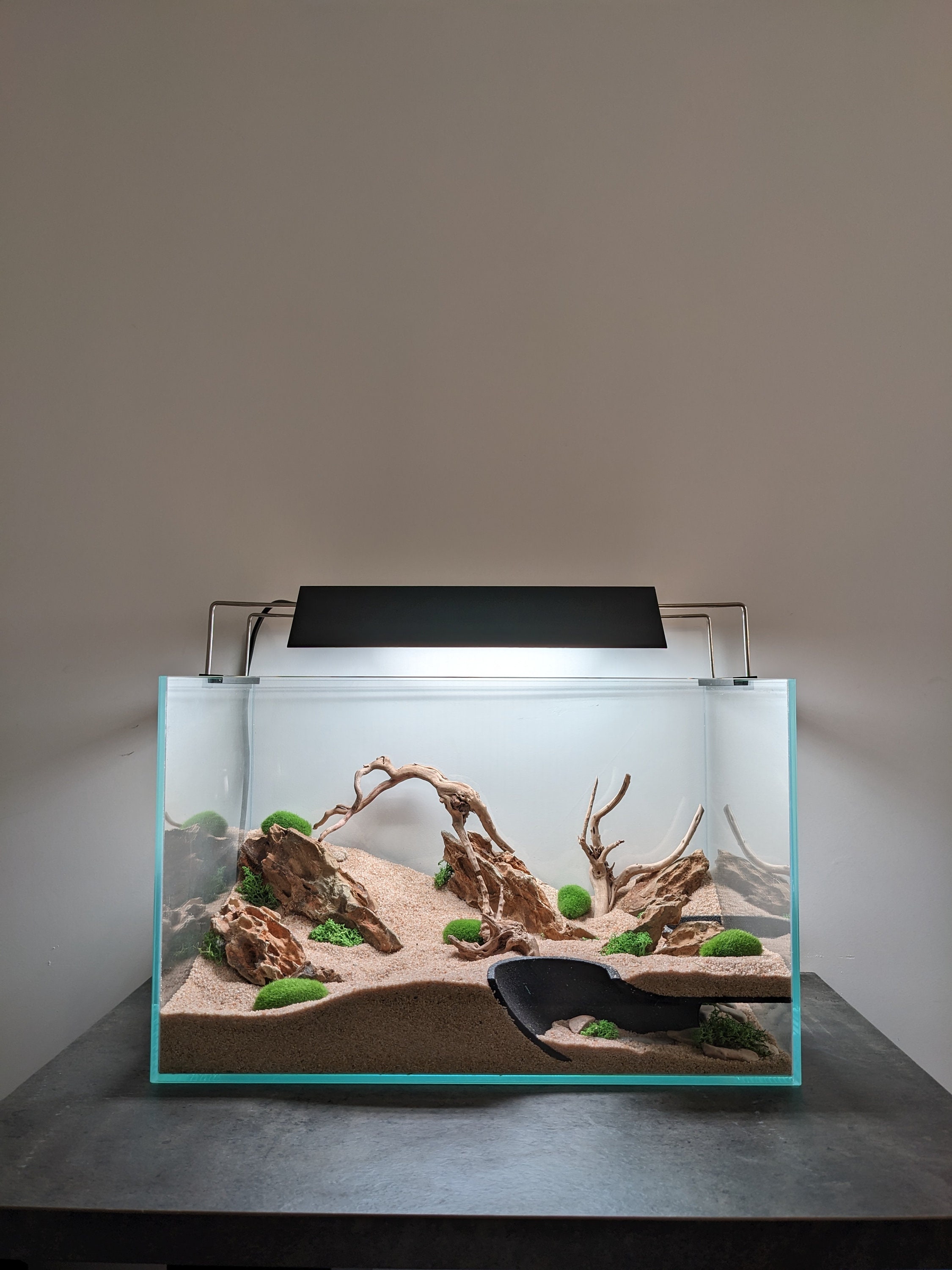 爬虫類と魚のための地下コーナートンネル - Etsy 日本