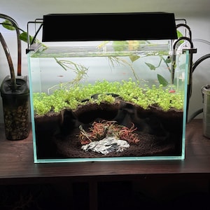 The Mangrove Hollow Extra Large Aquarium Cave image 7