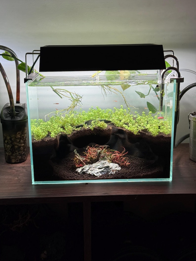 The Mangrove Hollow Extra Large Aquarium Cave image 7