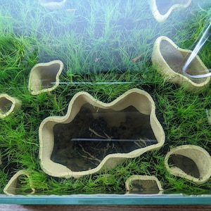 May include: An aquarium with green plants and beige, cave-like structures. The tank is filled with water, and the plants are lush. The beige structures are of various sizes and shapes, creating a naturalistic environment.