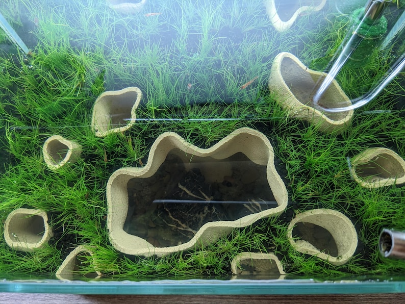 May include: An aquarium with green plants and beige, cave-like structures. The tank is filled with water, and the plants are lush. The beige structures are of various sizes and shapes, creating a naturalistic environment.
